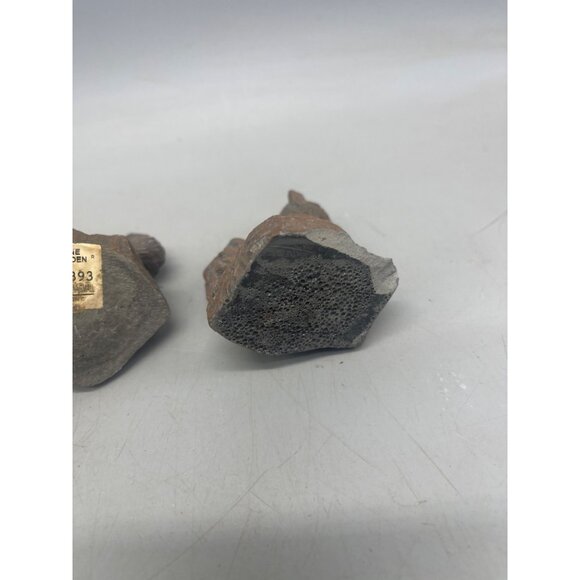 set of 3 squirrel figurine stone look garden decor shelf brown 2.5" READ - Picture 8 of 9